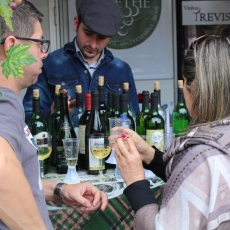 Festa do Vinho enaltece elemento da cultura italiana