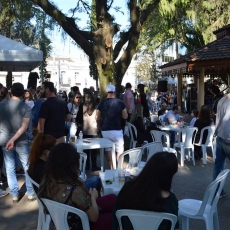 Urussanga entra no clima da XIX Festa do Vinho 2019