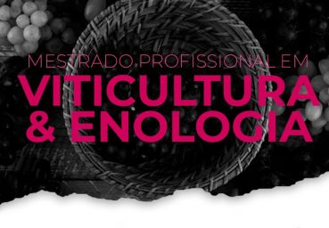 IFSC com primeiro Mestrado em Viticultura e Enologia do País