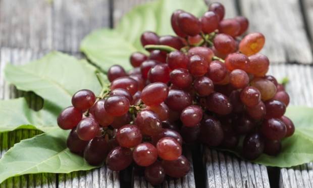 Estudo recente diz que comer uvas alivia a artrose. Mas os motivos para consumir a fruta não param por aí