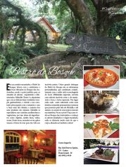 Edição 53º Julho 2017 | Página 31